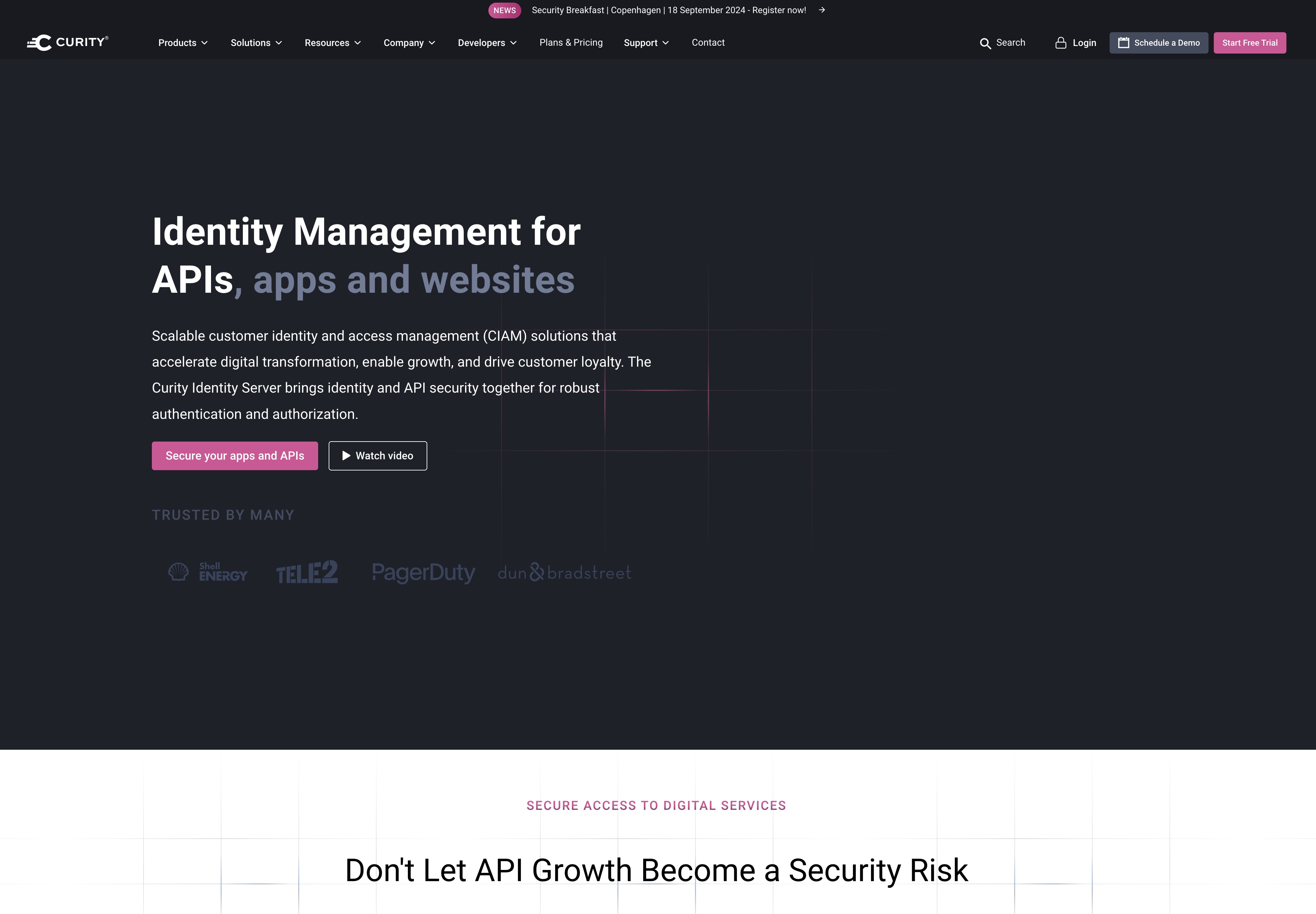 curity.io in 2024